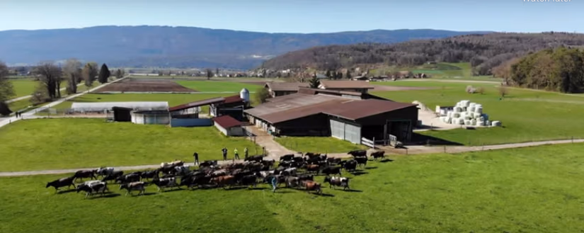 kach_pitt_switzerland_farm_kiwicross