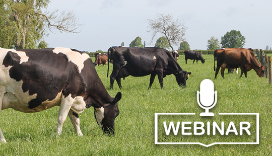 webinar for dairy farmers