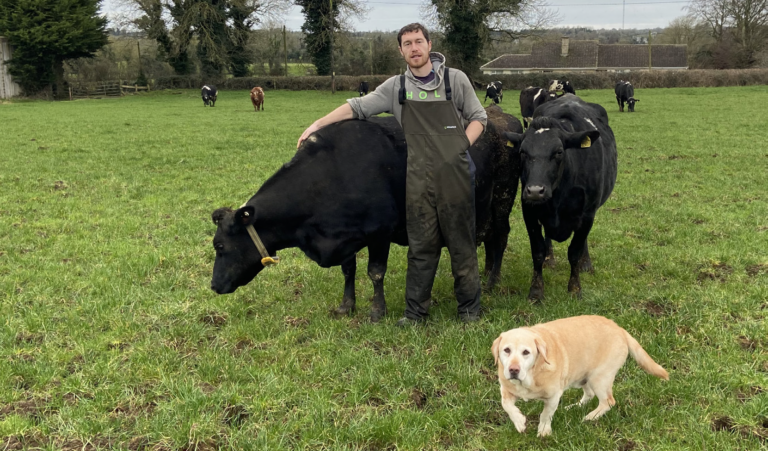 Irish dairy farmer Padraic Harman