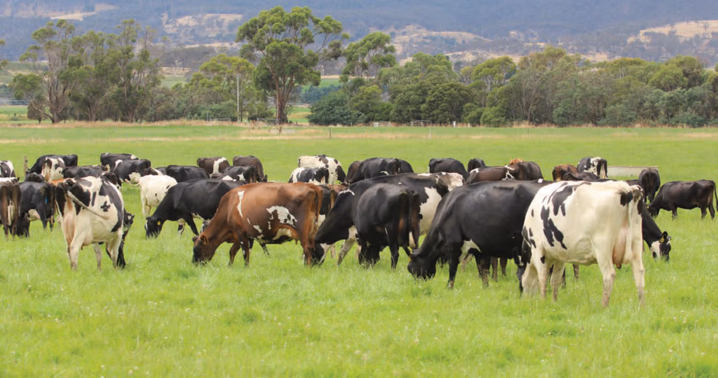 HoofPrint® index reduces environmental impact in Tasmania