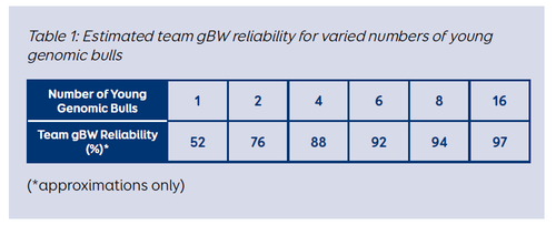 estimates of team gBW reliability under increasing numbers of young genomic bulls