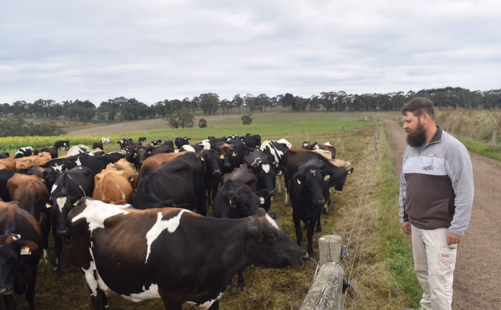 Australian dariy farmer Simon Scott has never strayed from LIC genetics
