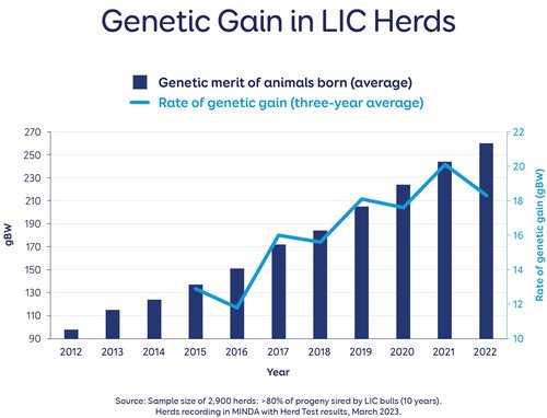 Long-term users of LIC semen for AI are achieving 18gBW per annum, well above industry average