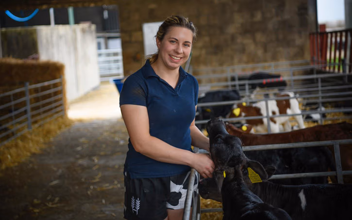 dairy farmer of the year finalist Lauren takes care of calf-rearing