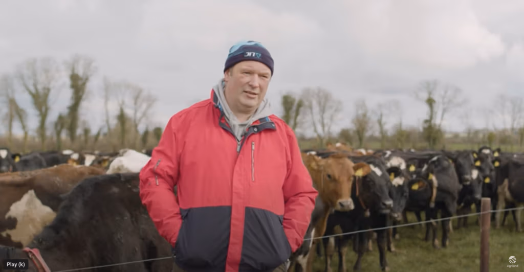 high performing Irish farmer Simon Breen with his LIC bred crossbred cows.