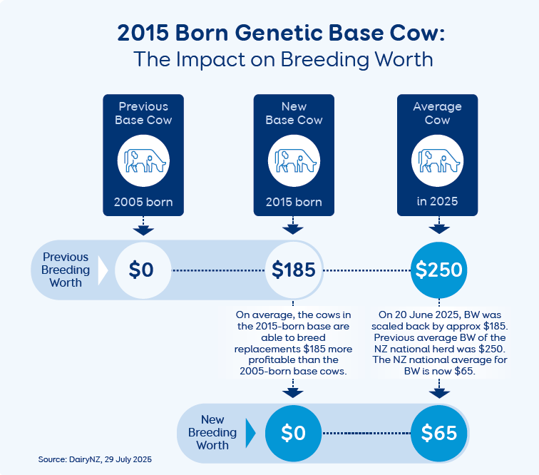 From 20 June 2025, NZ Animal Evaluation (NZAEL) will update the genetic base cow from a 2005 to a 2015 animal