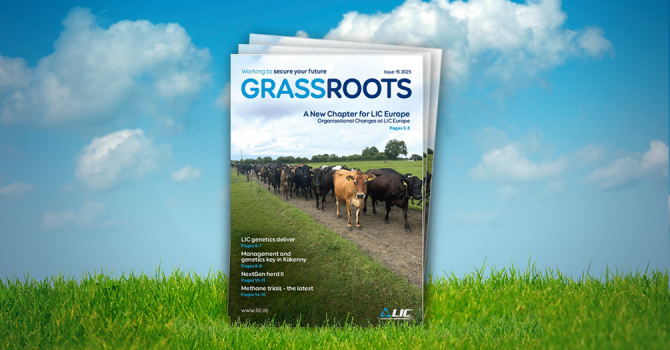 IRE GrassRoots July25 web copy