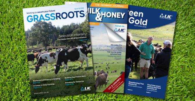 International Publications